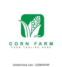 HEALTHY MEAL Maize Meal Milling Company
