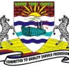 GOKWE TOWN COUNCIL