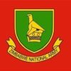ZIMBABWE NATIONAL ARMY
