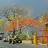 Chinhoyi University of Technology