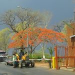 Chinhoyi University of Technology