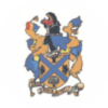 CHIREDZI TOWN COUNCIL