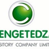Chengetedzai Depository Company Limited