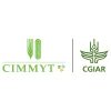CIMMYT