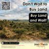 Dingamuzi Real Estate Pvt Ltd