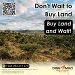 Dingamuzi Real Estate Pvt Ltd