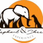 Elephant & Cheetah Experience