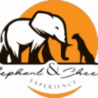 Elephant & Cheetah Experience