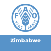 FAO Zimbabwe