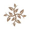 The Sprout