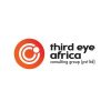 third eye africa consulting group (pvt ltd)