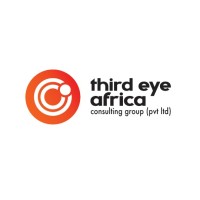 third eye africa consulting group (pvt ltd)