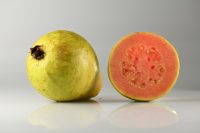 GUAVA AN AFRICAPACITI COMPANY