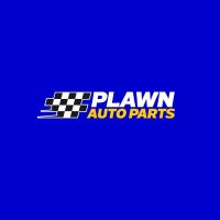 plawnmotors